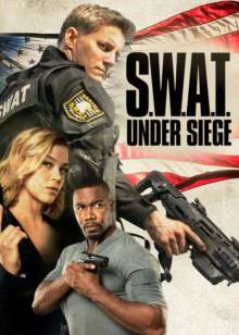 马达加斯加的企鹅