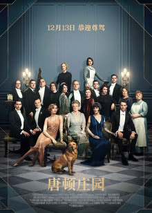 热铁皮屋顶上的猫