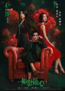 清白2020