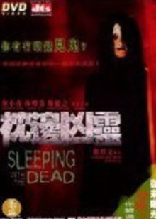 御天神帝4之雪国秘史